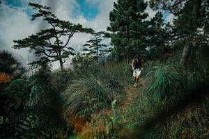 BIB: 
                            <button type="button" onclick="openModal(25258069)" class="btn btn-primary btn-sm float-right btn-popup" data-toggle="modal" data-target=".modal-high-quality">
                        <i class="fas fa-shopping-cart"></i> Add to Cart
                    </button>
                                            <button type="button" onclick="isThisMe(25258069, true)" class="btn btn-success btn-sm float-right btn-popup btn-isme hidden" data-toggle="tooltip" data-placement="bottom" title="นี่คือรูปของคุณใช่ไหม คลิกที่นี่เพื่อเอาเข้าอัลบั้ม">
                        <i class="fas fa-plus"></i> Add to album
                    </button>
                    <button type="button" onclick="isThisMe(25258069, false)" class="btn btn-warning btn-sm float-right btn-popup btn-isnotme hidden">
                        <i class="fas fa-ban"></i> Remove from album
                    </button>